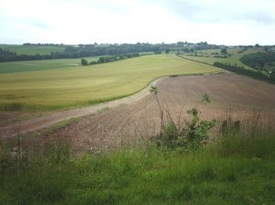 View back across the fields showing track to the chapel