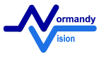 Normandy Vision UK Trust